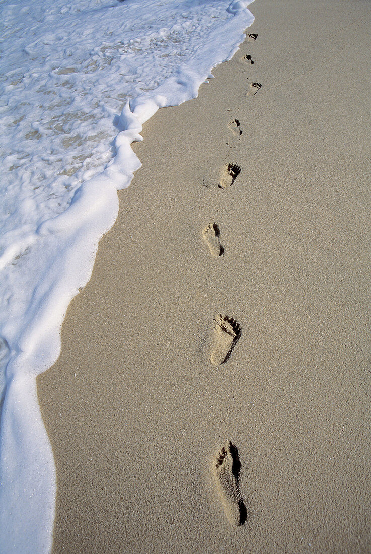 Footprints on Sand Beach, Puerto Vallarta, Pacific Ocean, Mexico