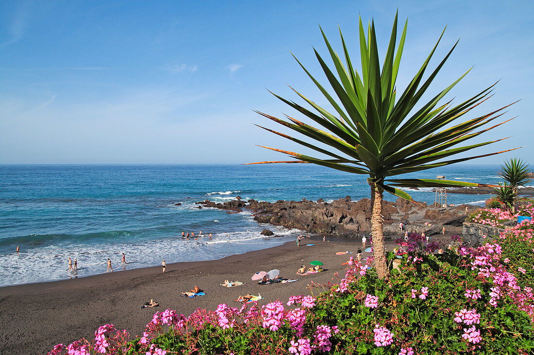 Puerto de la Cruz, Tenerife. Canary Islands, Spain