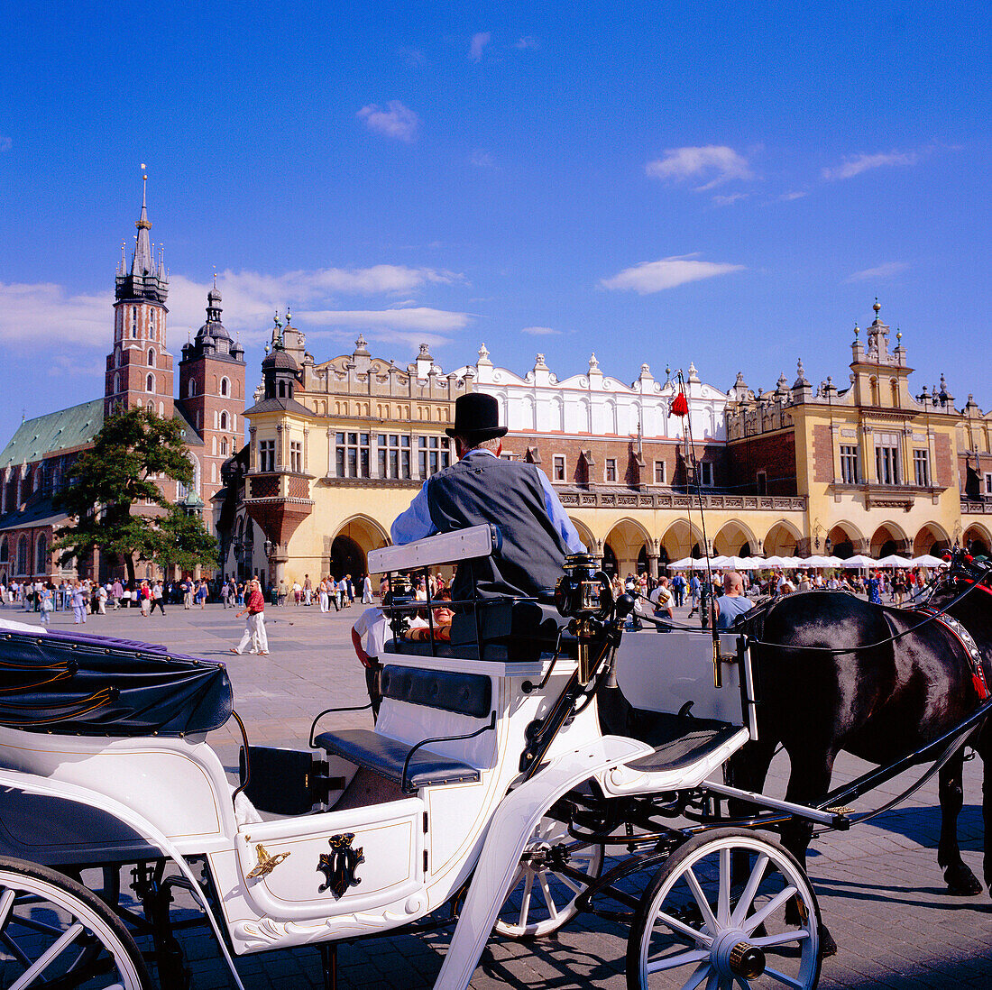 HORSE-CARRIAGE & CLOTH HALL IN MAIN SQUARE, KRAKOW, POLAND