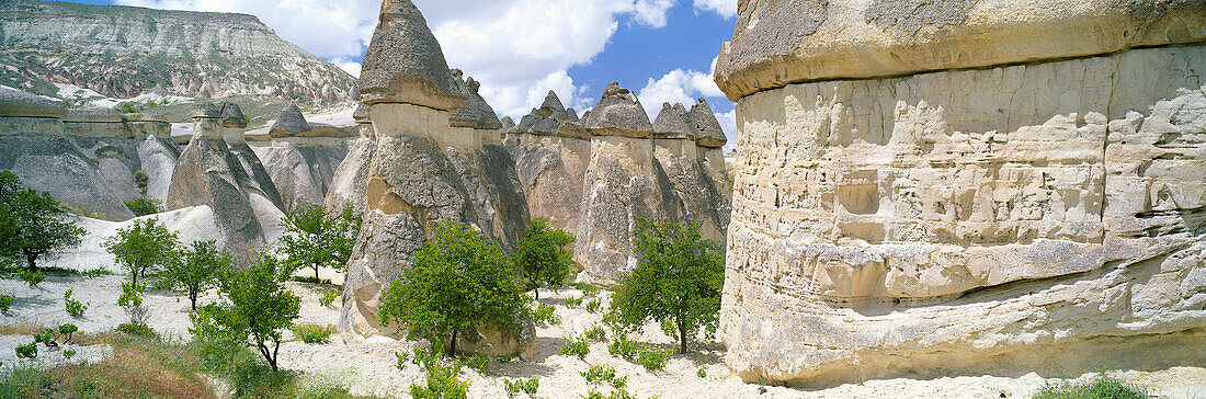 VALLEY OF THE FAIRY CHIMNEYS (PASABAG), ZELVE, NR, CAPPADOCIA, TURKEY