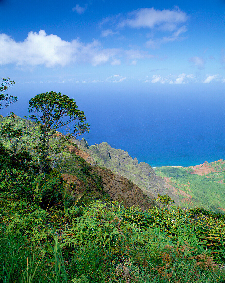 Kalalau Valley Lookout on Kalalau Trail, Kauai Island, Hawaii, Usa