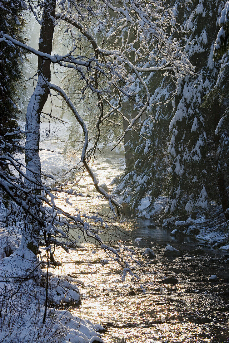 Natzschung im Winter, Rothenthal, Olbernhau, Erzgebirge, Sachsen, Deutschland