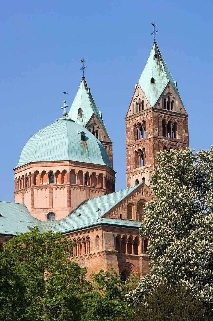 Part of the Cathedral, Speyer, Rhineland-Palatinate, Germany