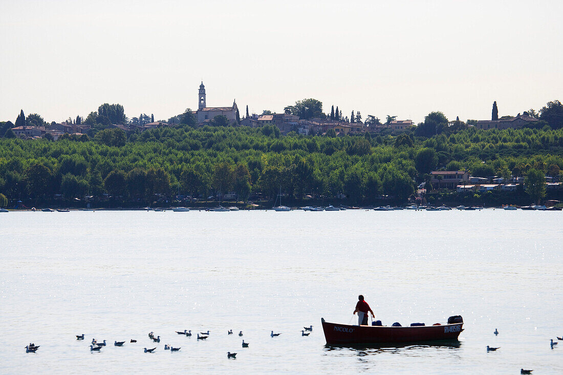 Fisherman on lake Garda near Lazise, lake Garda, Verona province, Veneto, Italy