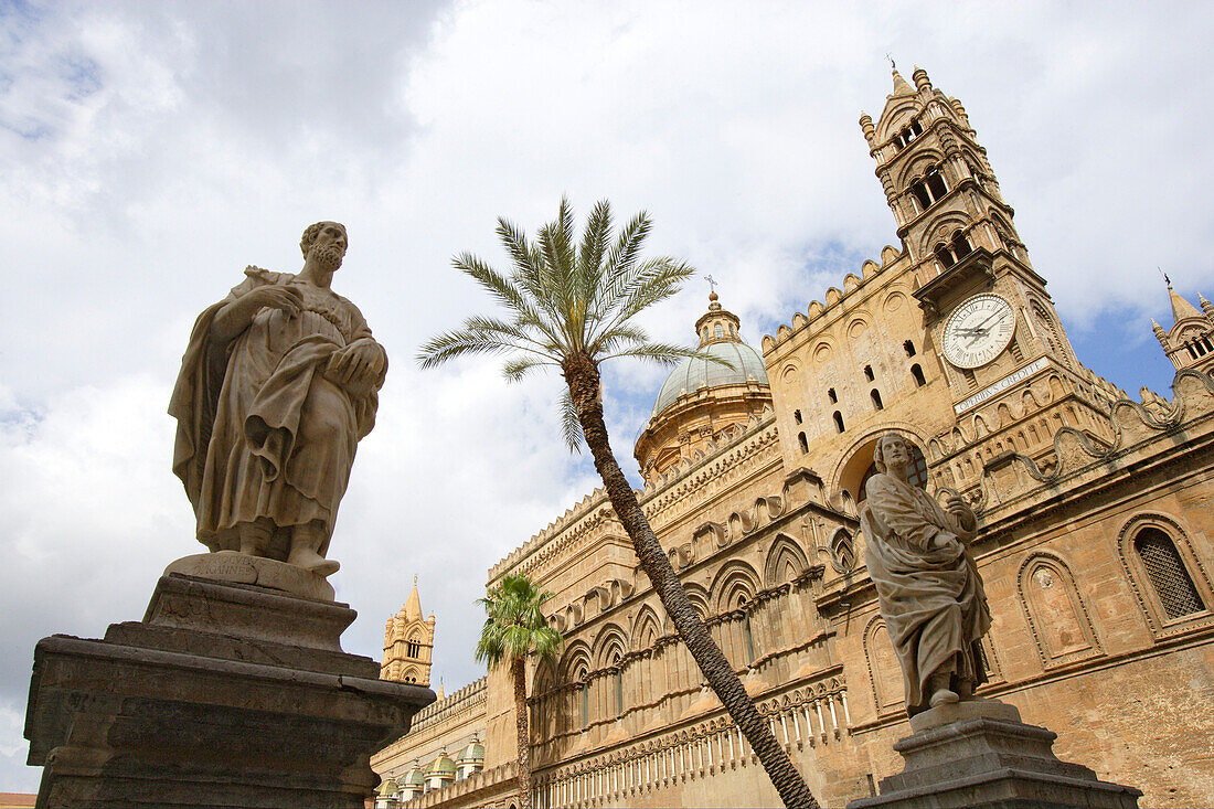 A palm tree and statues in front of the cathedral, Palermo, Sicily, Italy, Europe