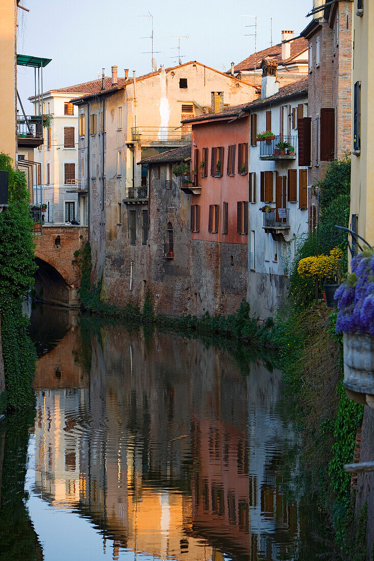 Row of houses on a canal, Mantua, Lombardy, Italy, Europe