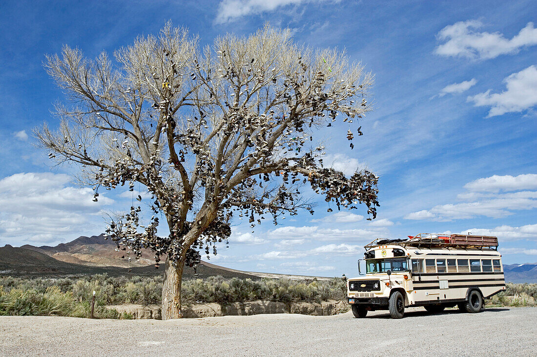Blick auf einen Amerikanischen Schulbus der neben einem Baum steht an dem tausende von Schuhen hängen, Glücksbringerbaum, US Highway 50, Middlegate, Nevada, USA