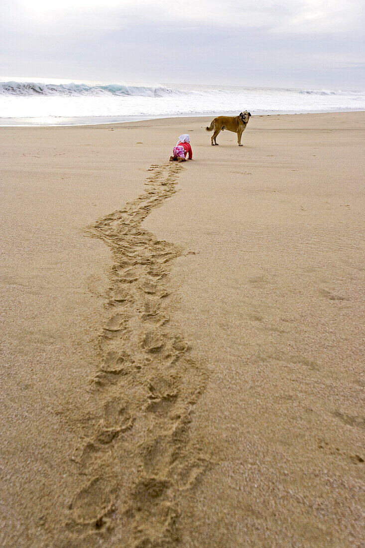 Kind krabbelt über den Strand zu einem Hund, Punta Conejo, Baja California Süd, Mexiko