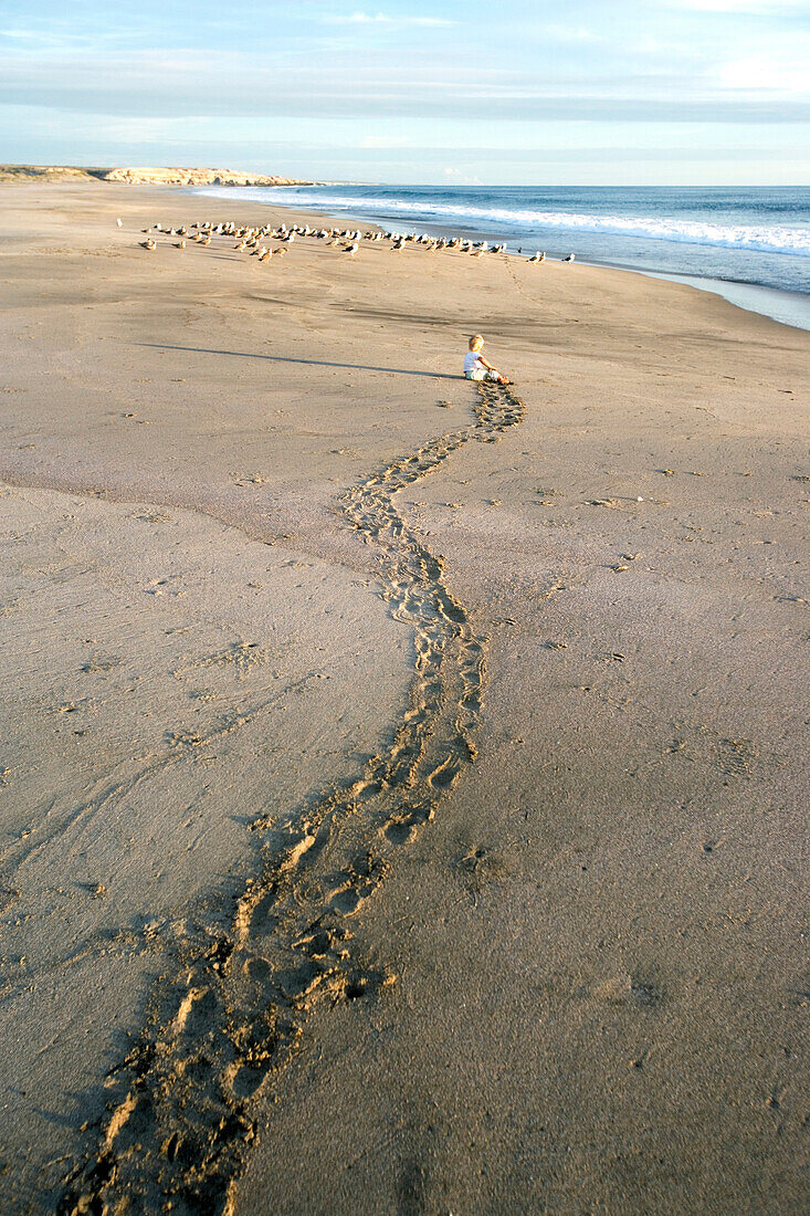 Child crawling over the beach towards birds, trail in the sand, Punta Conejo, Baja California Sur, Mexico