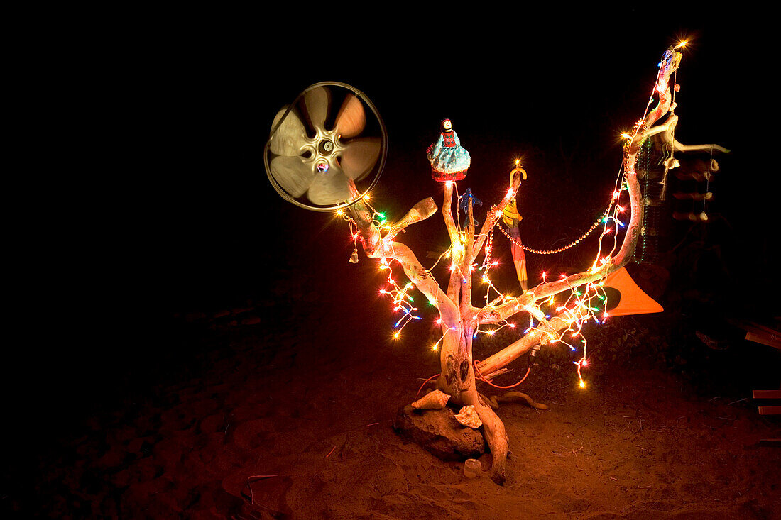 Ein Weihnachtsbaum am Strand von Mexiko, Punta Conejo, Baja California Süd, Mexiko