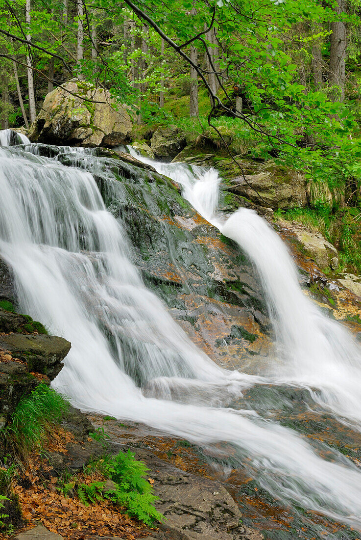 Rieslochfälle, Bodenmais, Bayerischer Wald, Niederbayern, Bayern, Deutschland