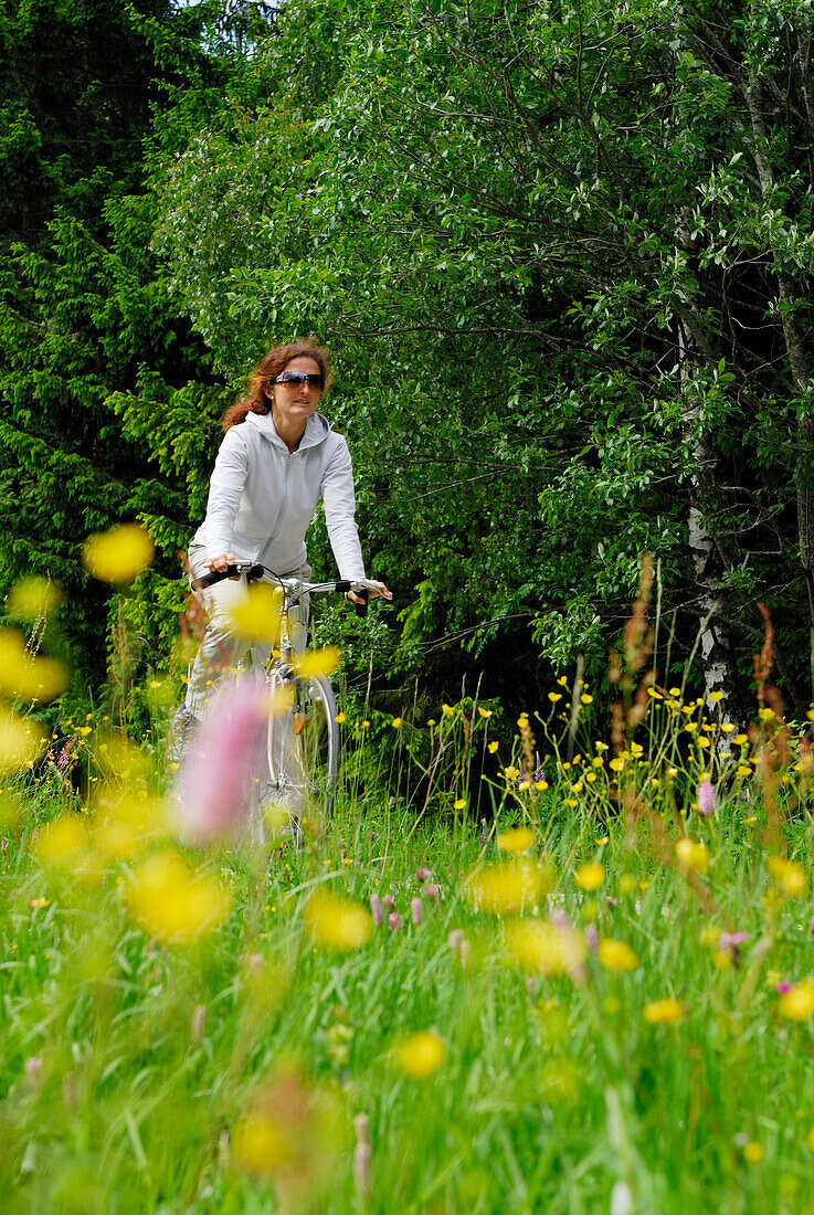 Radfahrerin fährt durch eine Blumenwiese, Nationalpark Bayerischer Wald, Niederbayern, Bayern, Deutschland