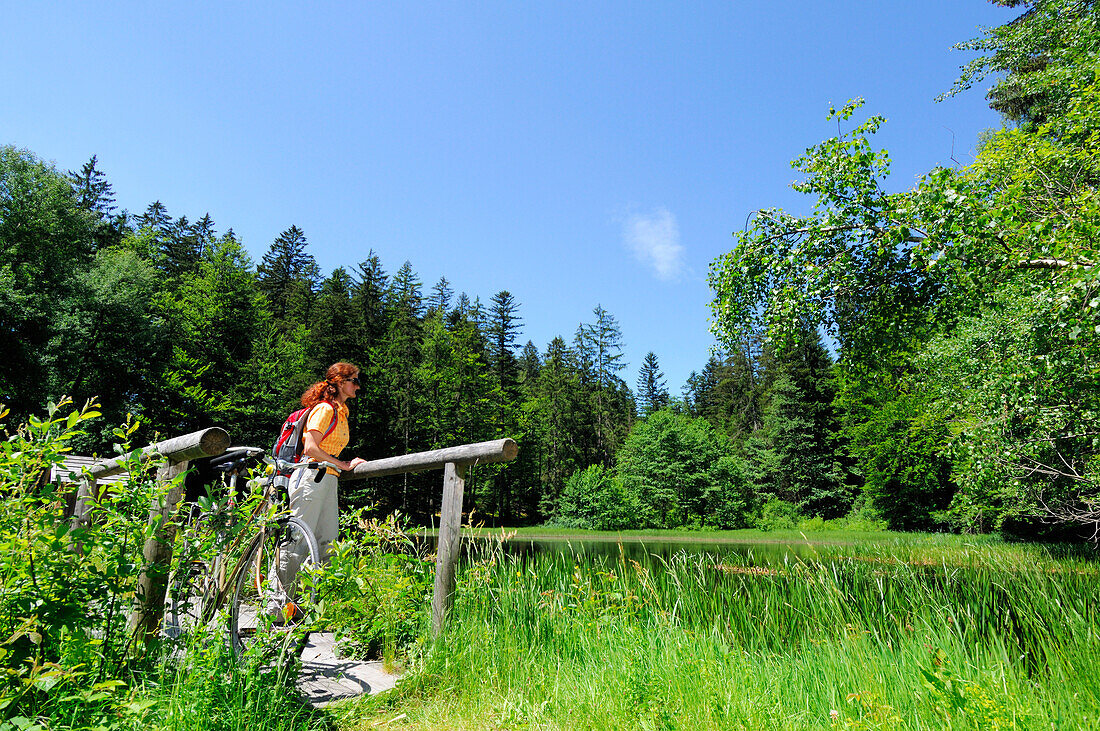 Woman standing on small bridge, Bavarian Forest National Park, Lower Bavaria, Bavaria, Germany