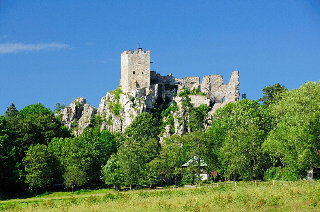Castle ruin Weissenstein, Regen, Bavarian Forest, Lower Bavaria, Bavaria, Germany