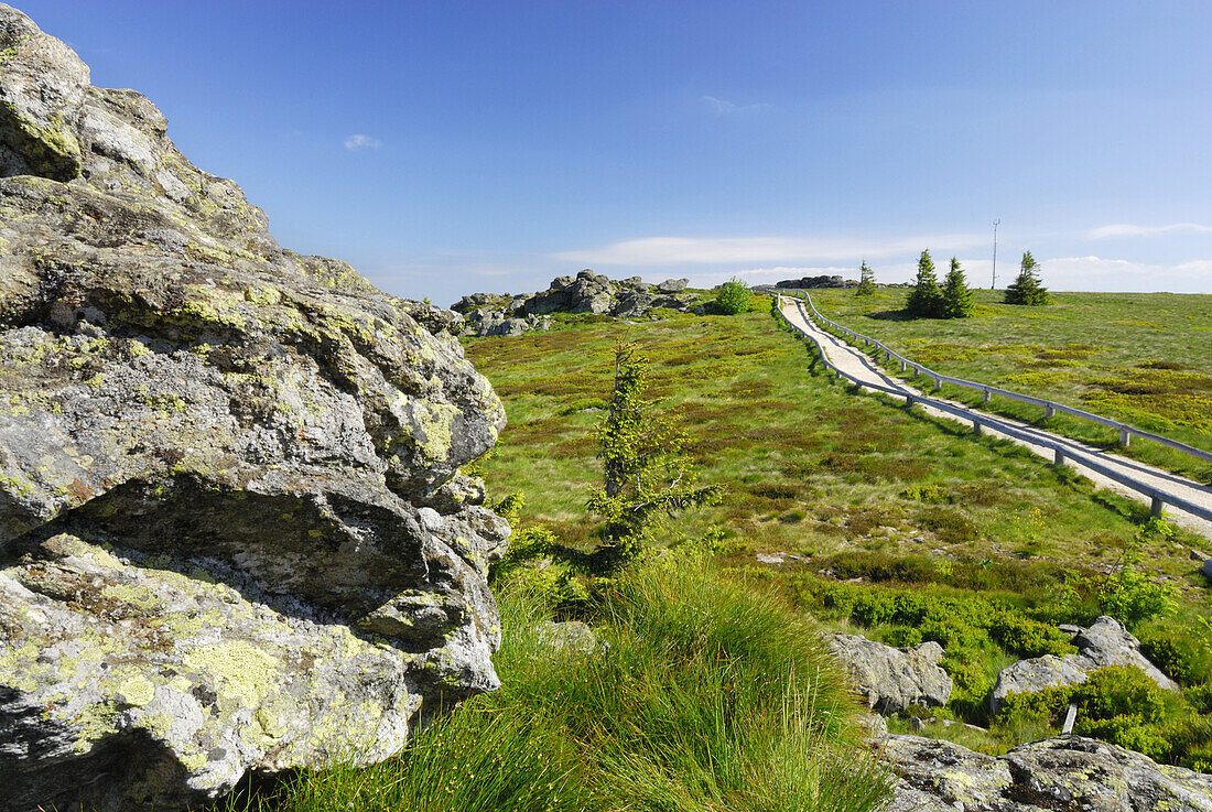 Wanderweg zum Gipfel, Großer Arber, Nationalpark Bayerischer Wald, Niederbayern, Bayern, Deutschland