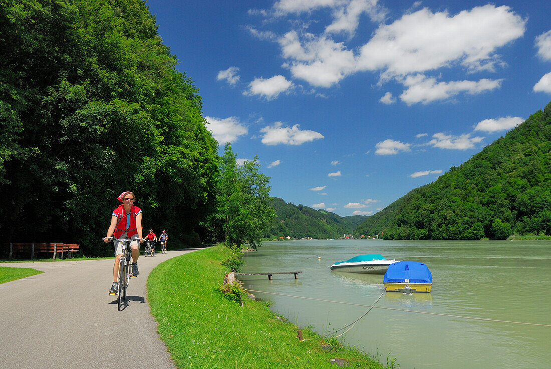 Radfahrerin fährt entlang der Donau, Donauradweg Passau Wien, Schlögen, Oberösterreich, Österreich