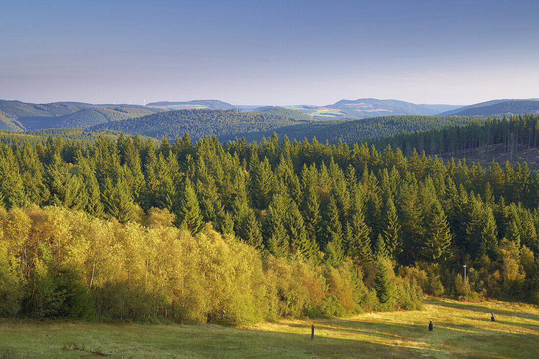 Morning mood an mount Kahler Asten, Rothaargebirge, Sauerland, Winterberg, North Rhine-Westphalia, Germany