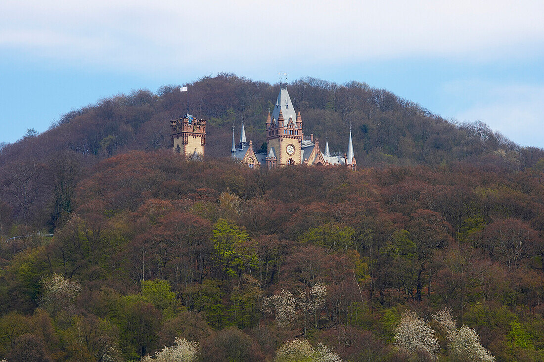 Spring, day, view at Schloß Drachenburg (castle), Siebengebirge, Rhine, North Rhine- Westfalia, Germany, Europe