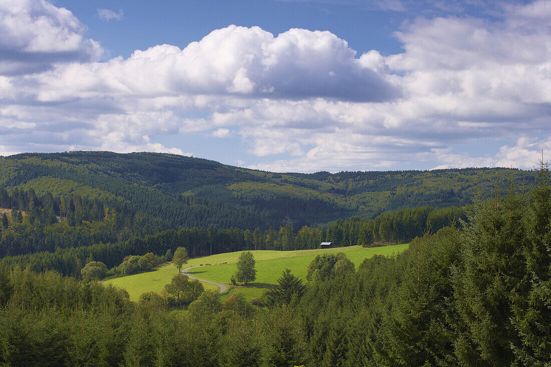 Landschaft bei Züschen, Rothaargebirge, Hochsauerland, Nordrhein-Westfalen, Deutschland