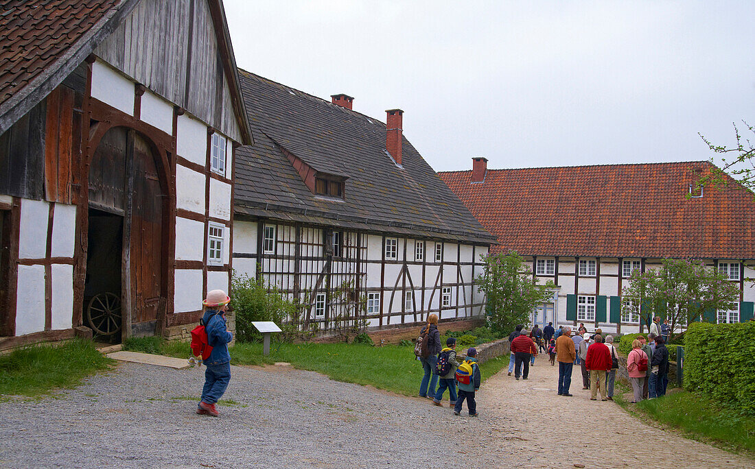 LWL Freilichtmuseum (open air museum) Detmold, Padaborner village, Lippe, Northrhine-Westphalia, Germany, Europe