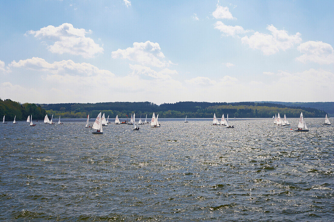 Sailing boats on the Möhnesee, Naturpark Arnsberger Wald, Wildlife park, Sauerland, North Rhine-Westphalia, Germany, Europe