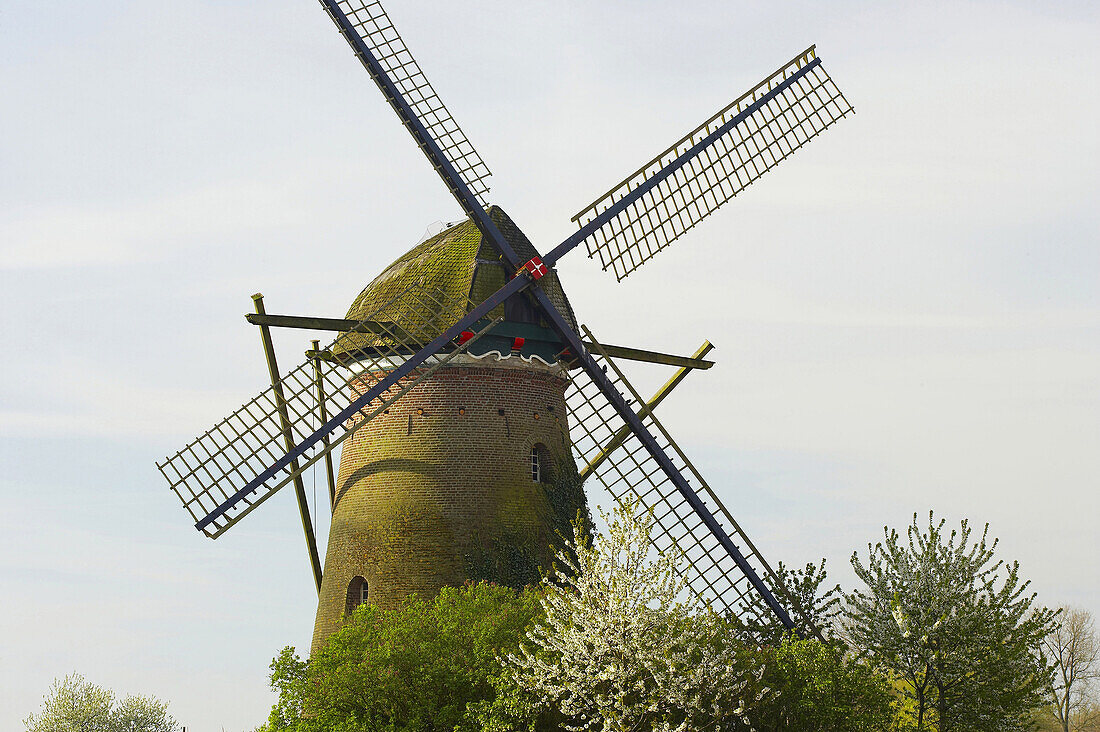 Windmühle bei Kevelaer, Niederrhein, Nordrhein-Westfalen, Deutschland