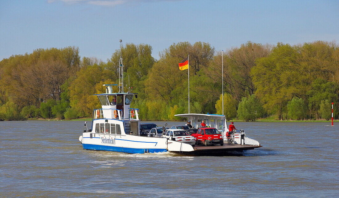 Spring, day, ferry in Dormagen-Zons, Rhineland, North Rhine-Westphalia, Germany, Europe