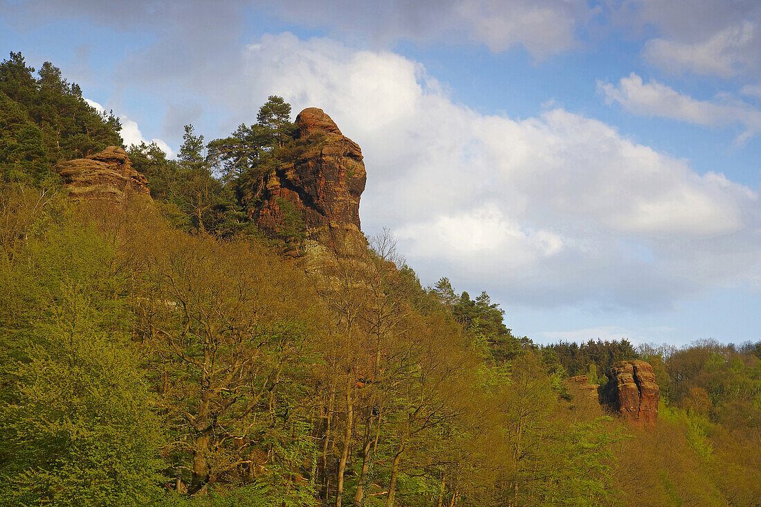 Scenery near Abenden, Eifel, North Rhine-Westphalia, Germany