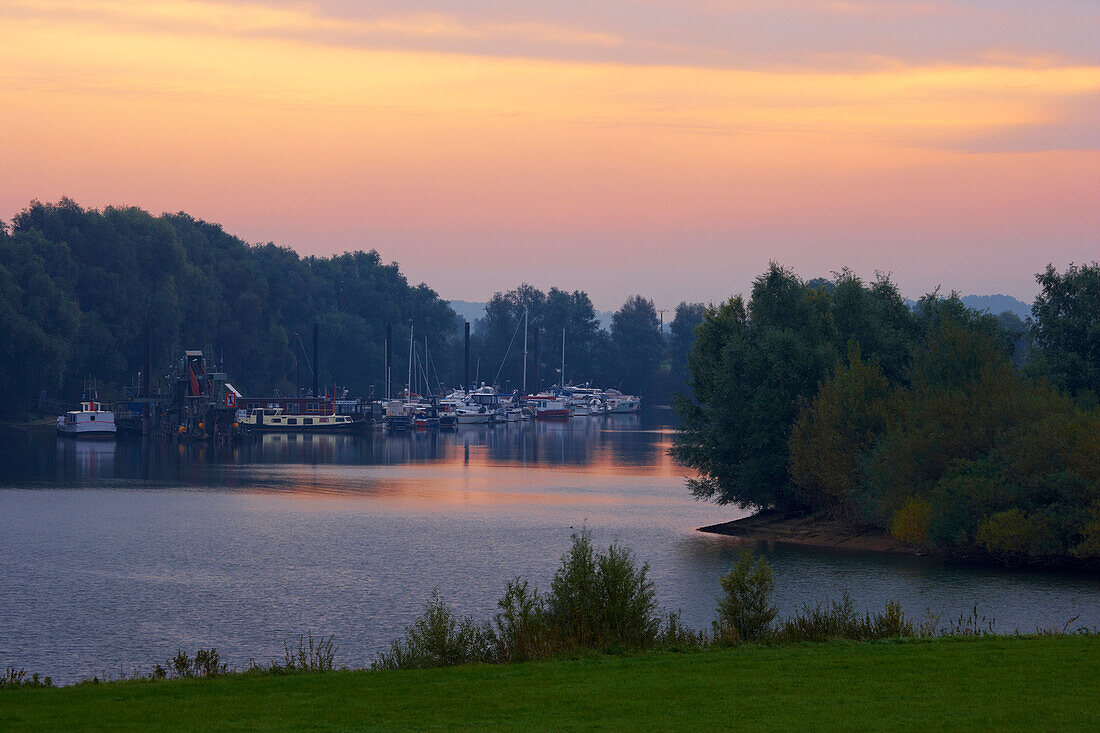 Marina near Rees, Late summer, Morning, Reeserschanz, Lower Rhine, North Rhine-Westphalia, Germany, Europe