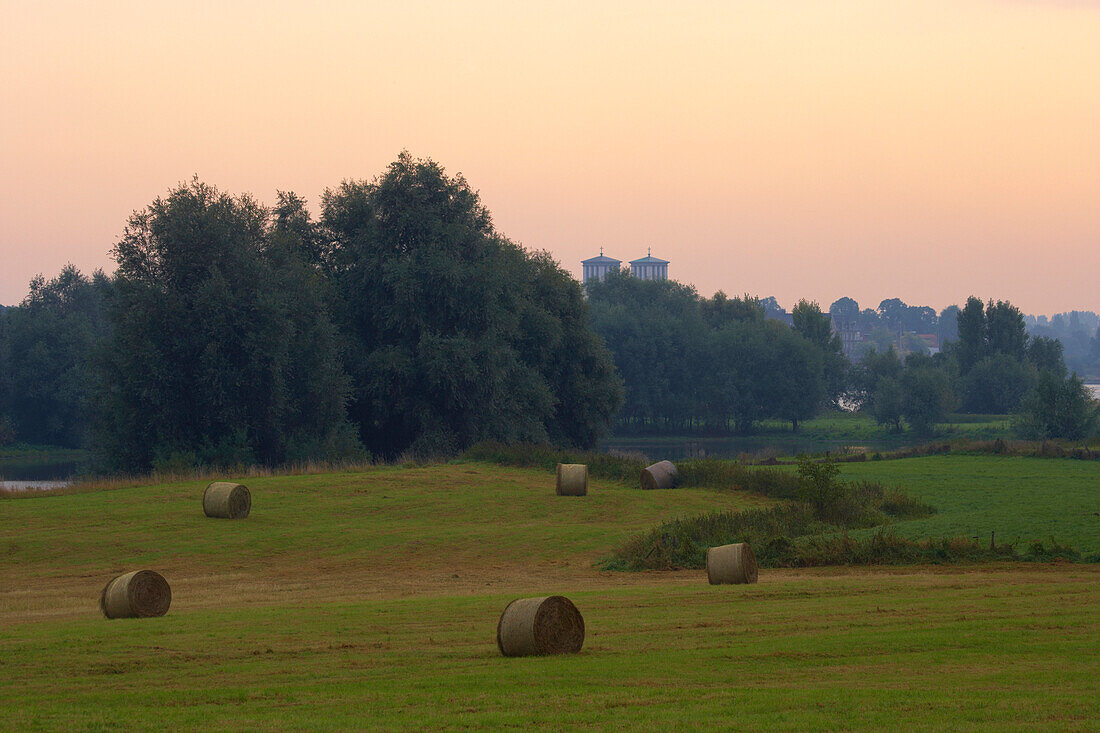 View over the pastures of the river Rhine at Rees, Late summer, Morning, Lower Rhine, North Rhine-Westphalia, Germany, Europe