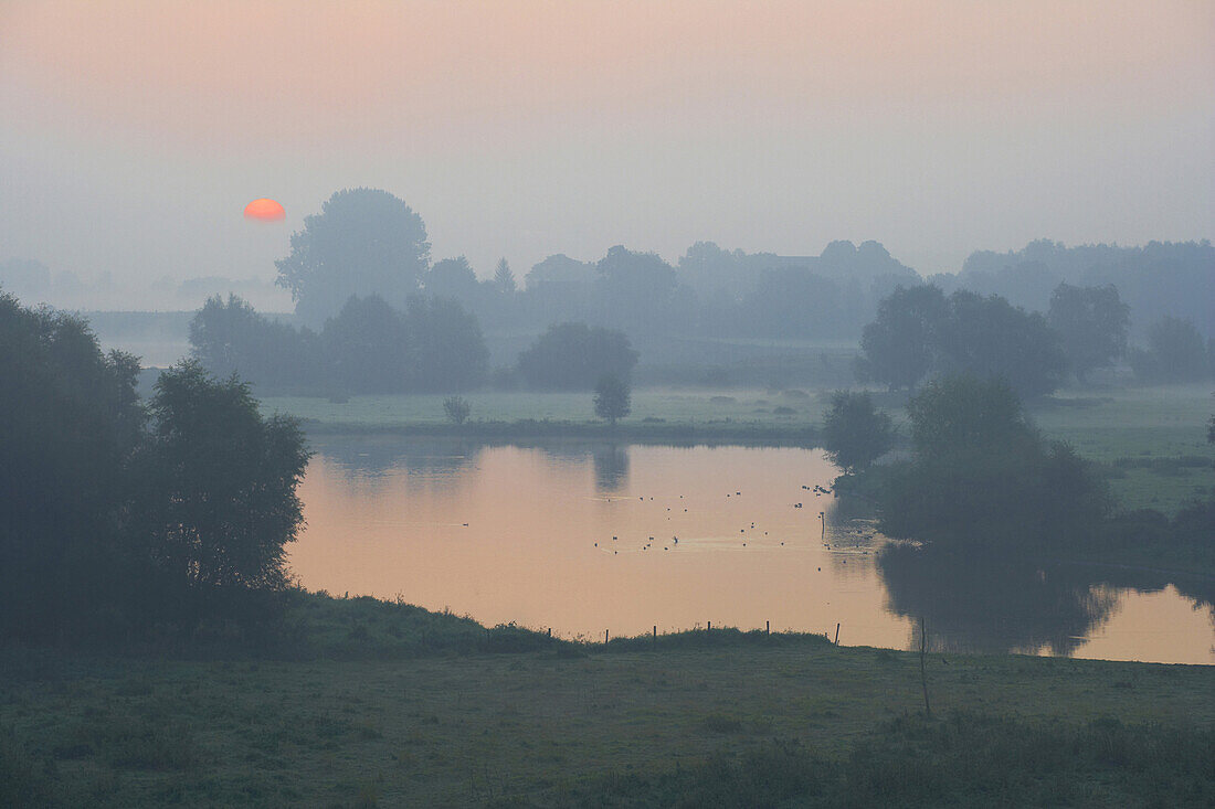 Sonnenaufgang über Rheinaue bei Rees, Niederrhein, Nordrhein-Westfalen, Deutschland