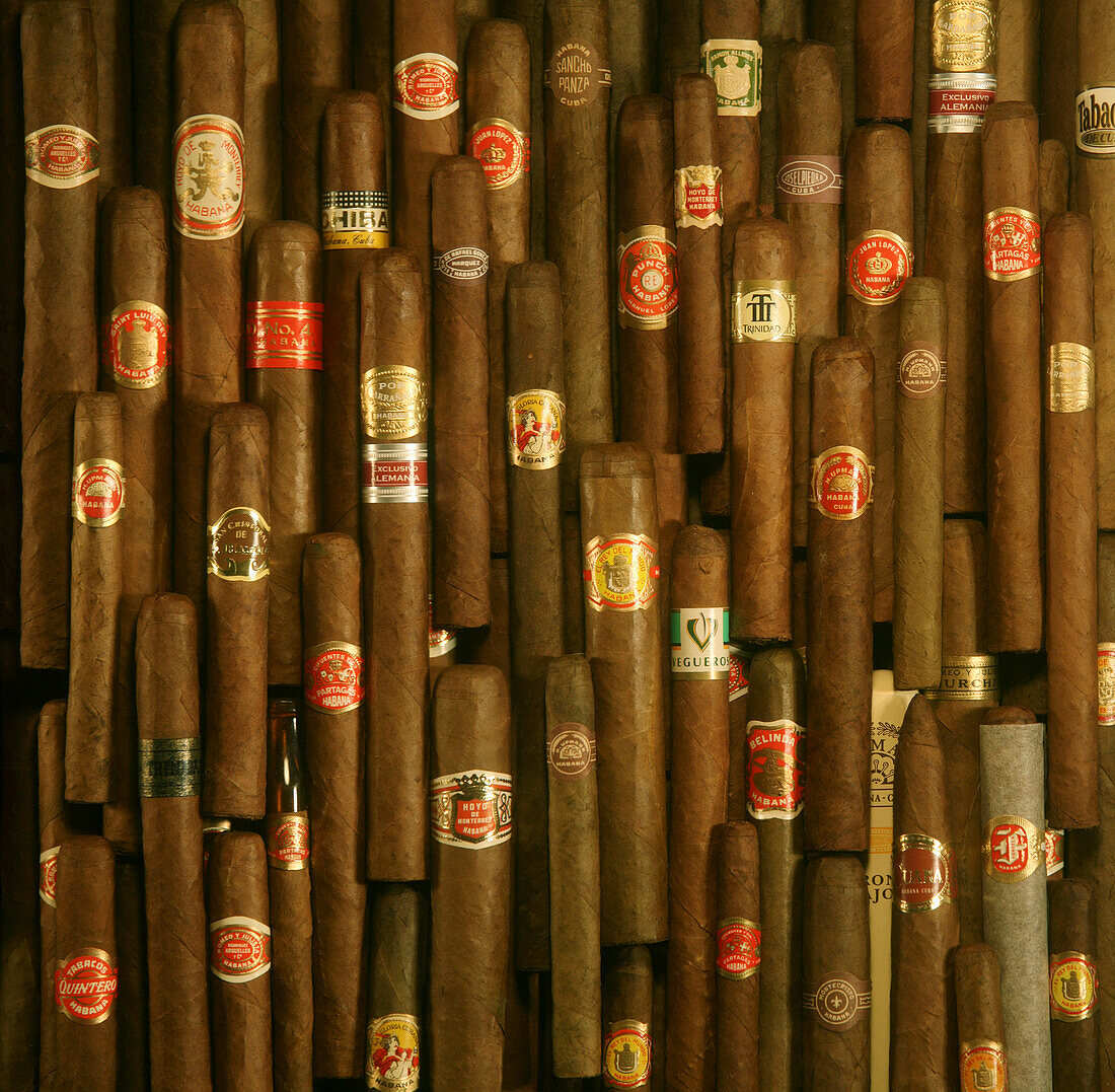 Cuban cigars, Close-up, Cuba, Carribean, North America, Amerika