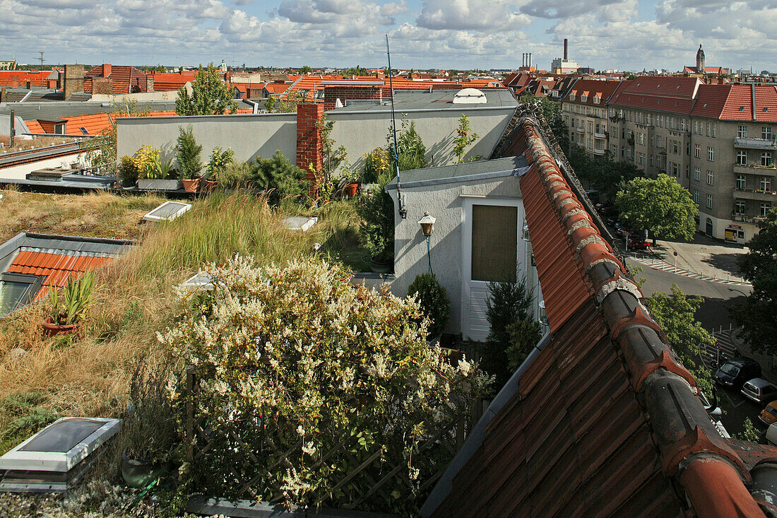Dachlandschaft und begrünte Dächern, Dachgarten in Charlottenburg