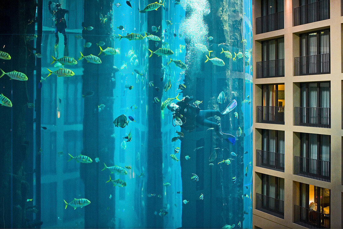 AquaDom im Radisson SAS Hotel, mit dem Fahrstuhl befahrbares Aquarium. Taucher reinigen und füttern die über 60 Fischarten