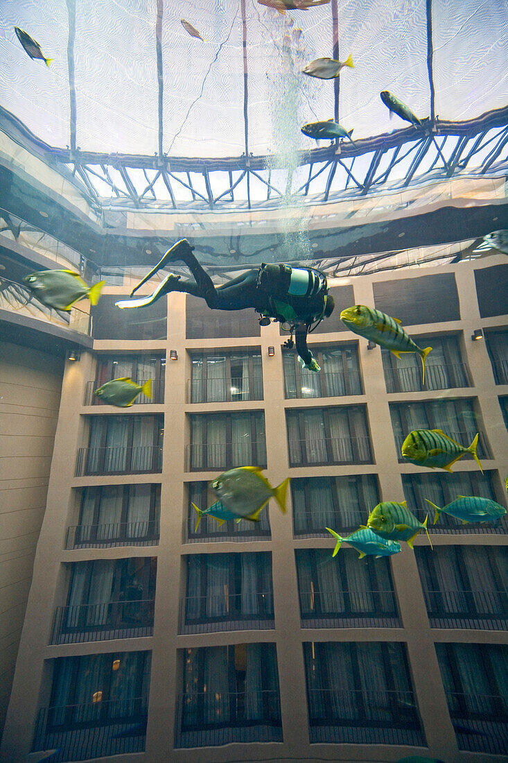 AquaDom im Radisson SAS Hotel, mit dem Fahrstuhl befahrbares Aquarium. Taucher reinigen und füttern die über 60 Fischarten, Berlin