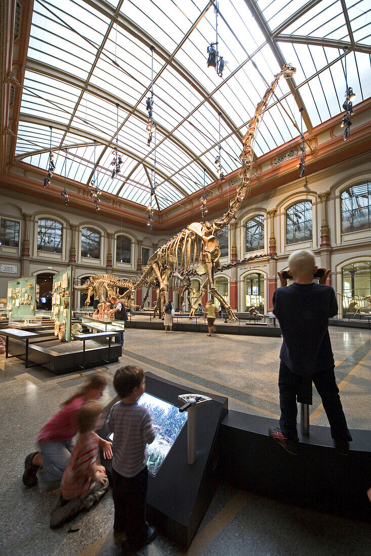 Museum für Naturkunde, Berlin Museum of Natural History