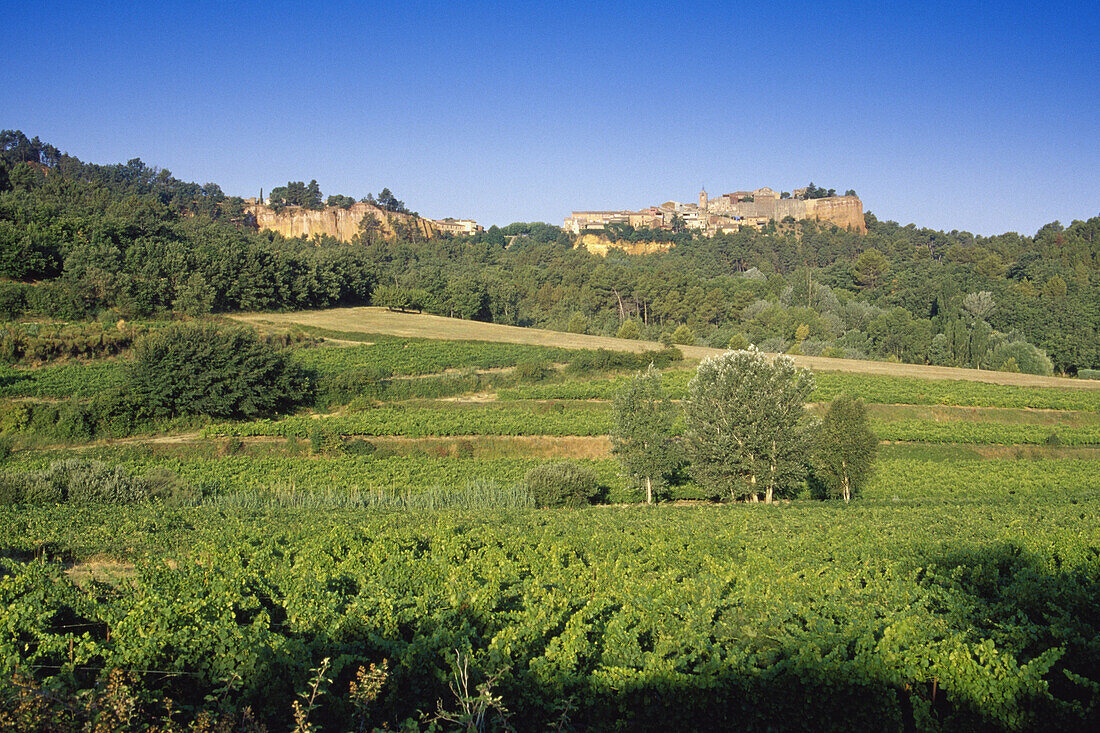 Landschaft mit Weinbergen und Ockerfelsen unter blauem Himmel, Vaucluse, Provence, Frankreich, Europa
