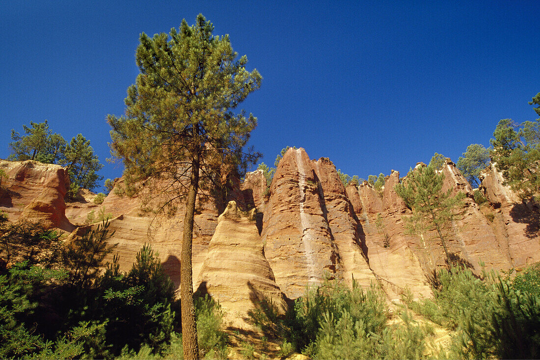 Ockerfelsen im Val de Fées unter blauem Himmel, Vaucluse, Provence, Frankreich, Europa