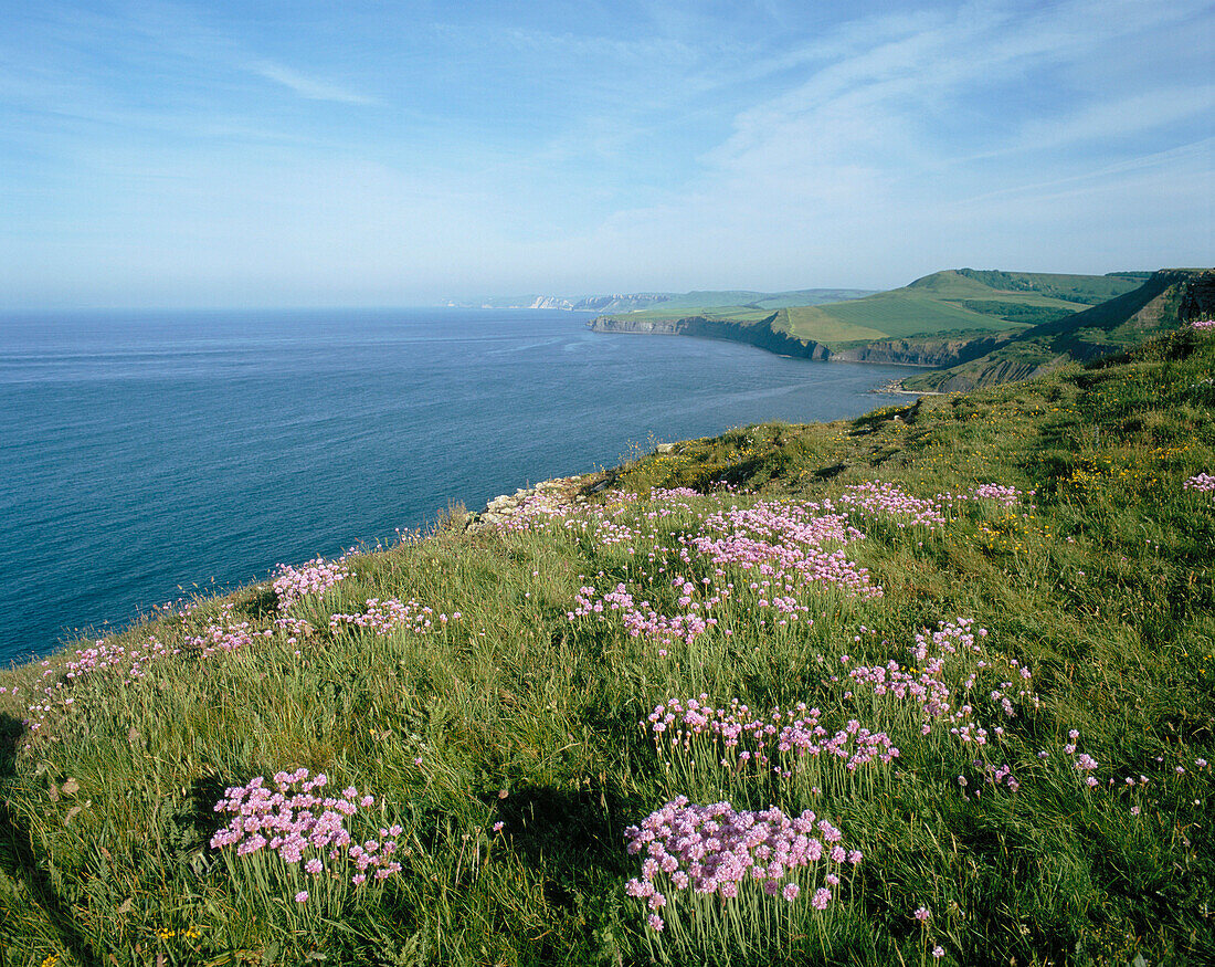 Coastal scenery, view west from Chapmans Pool, Purbeck, Dorset, UK, England