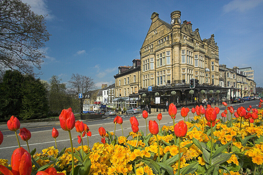 View over spring flowers to Betty's Tea Rooms, Harrogate, Yorkshire, UK, England