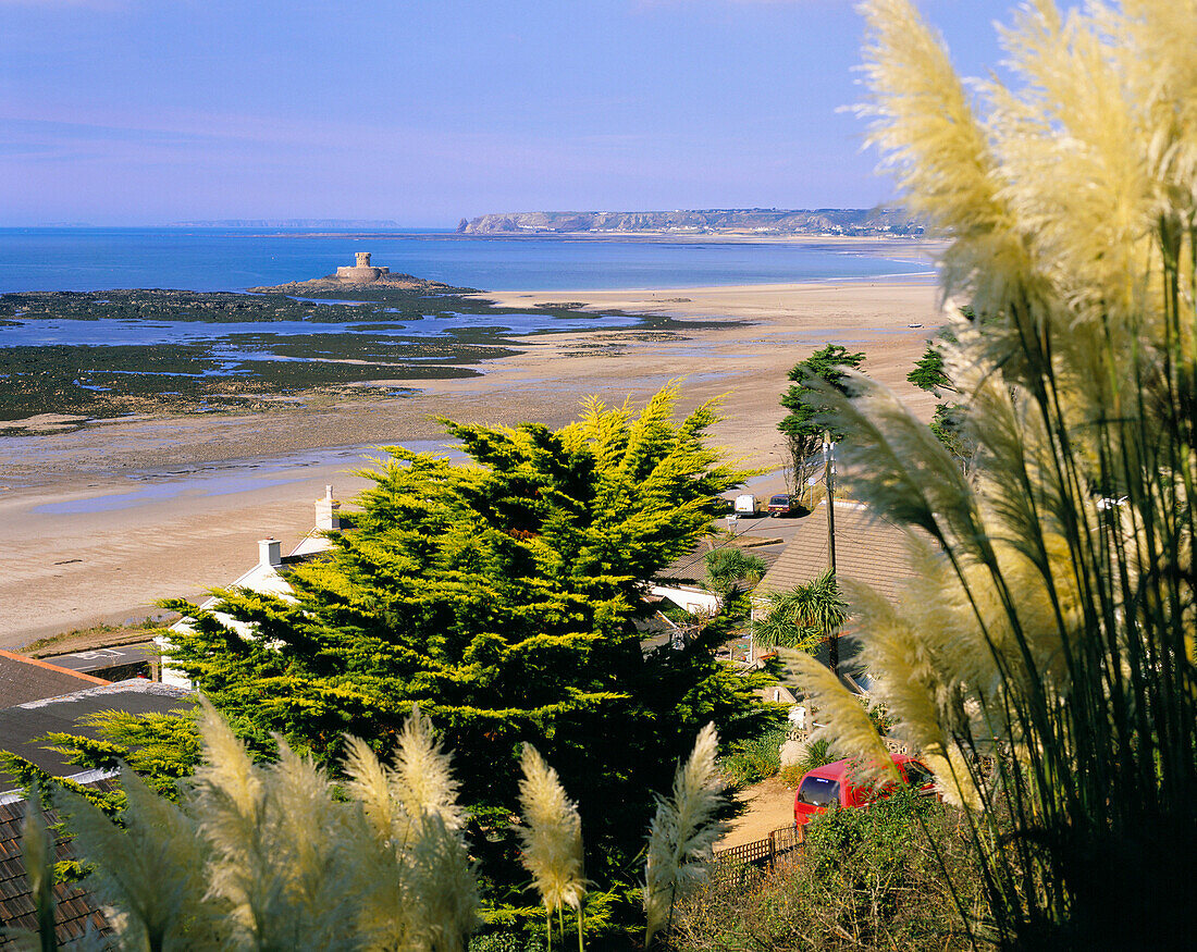 View to Rocco Tower with pampas grass in bloom in the foreground, St Ouen's Bay, Jersey, UK, Channel Islands