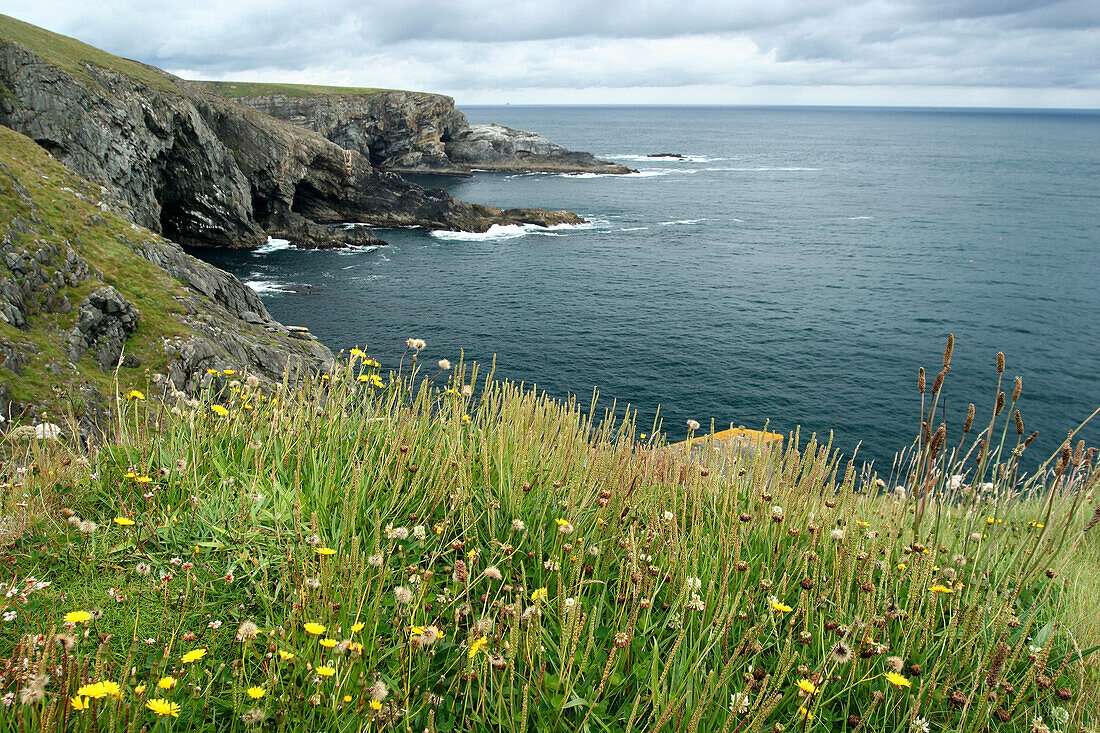 View along coastline towards Fastnet Rock from clifftop, Mizen Head, County Cork, Ireland