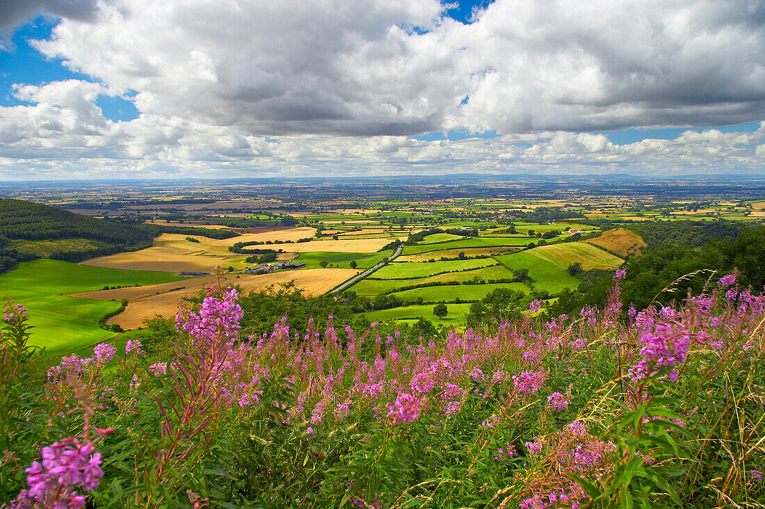 View over the Vale of Mowbray, North York Moors, Sutton Bank, Yorkshire, UK, England