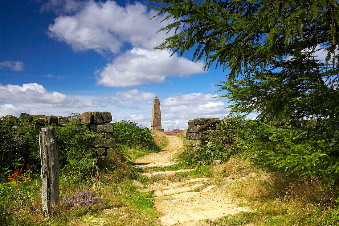 Captain Cook's Monument on Easby Moor in the North York Moors National Park, Great Ayton, Yorkshire, UK, England