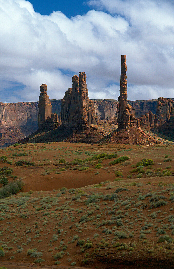Totem Pole rock formation in Navajo Tribal Park, Monument Valley, Arizona, USA