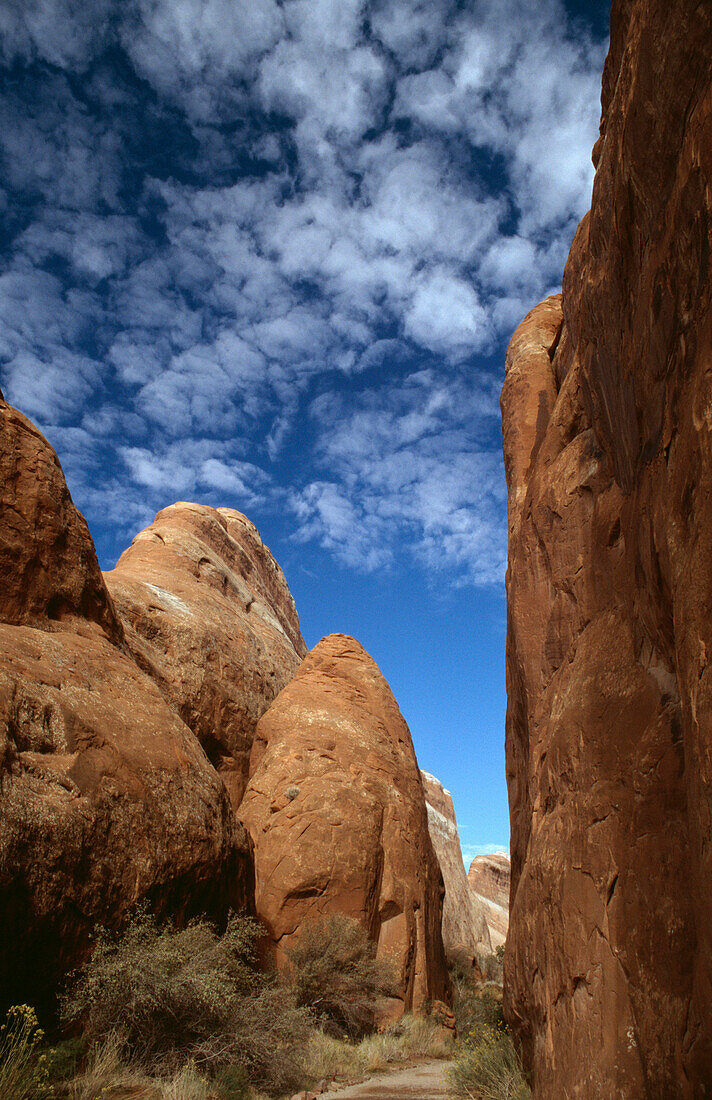 Typical rock formations, Arches National Park, Utah, USA