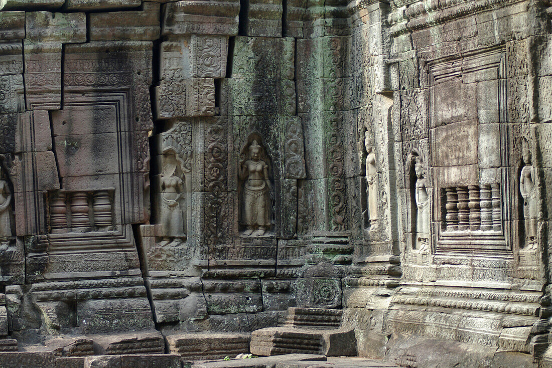 Angkor Wat, Ta Prohm temple, Siem Reap, near, Cambodia