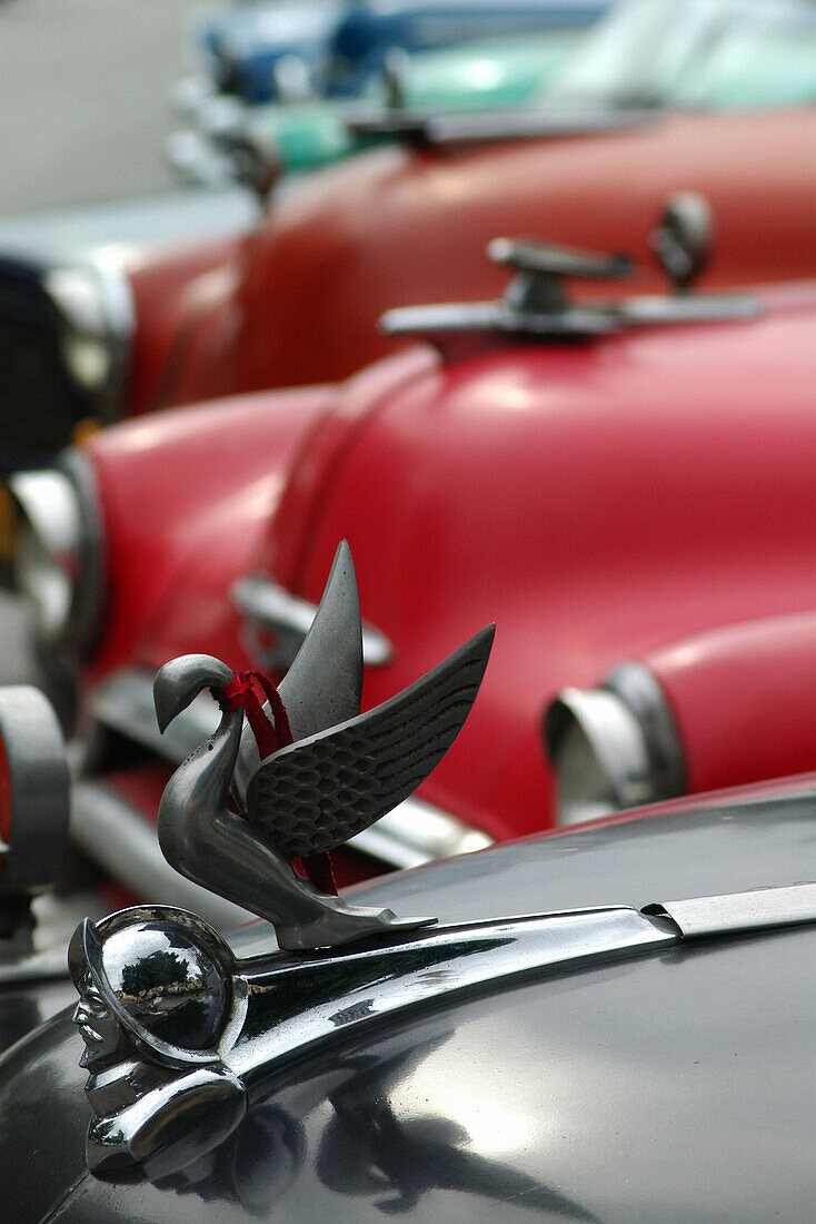 Old American cars with swan emblem detail, Havana, Cuba, Caribbean