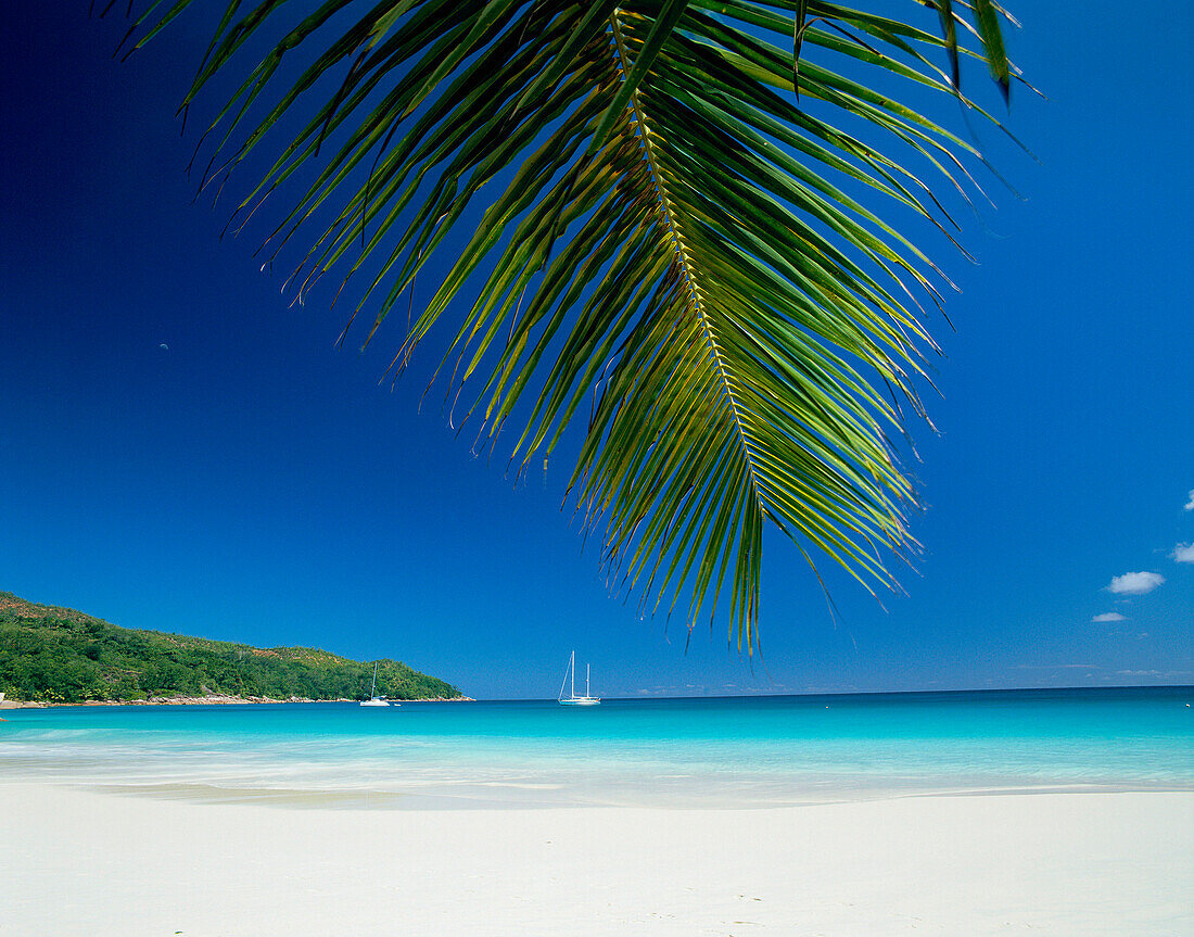 Beach Scene, Anse Lazio, Praslin, Seychelles