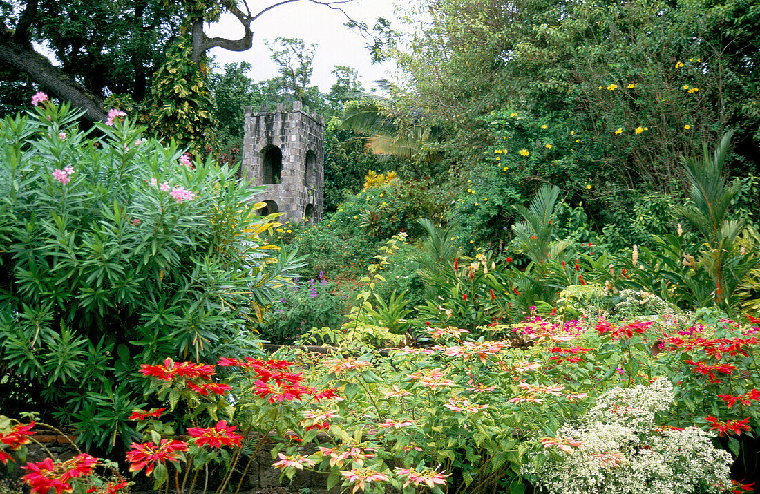 Garden View, Romney Gardens, St. Kitts, Caribbean